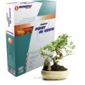Logiciel de caisse Orchestra Points de Vente - Fleuriste